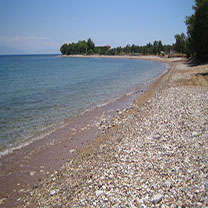 villanatasa3